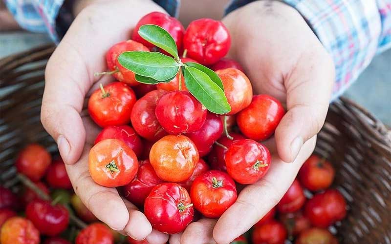 Acerola